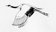 drawing of a crane