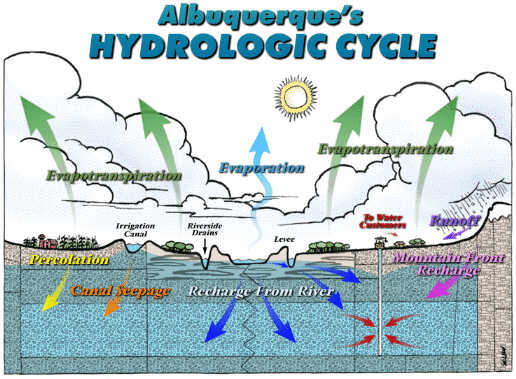 Diagram of Albuquerque's Hydrlogic Cycle