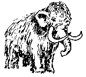 Drawing of Mammoth