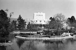 Photo of UNM Campus