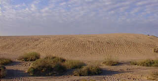 Photo of Sand Dunes