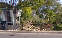 Photo of Trashed Yard