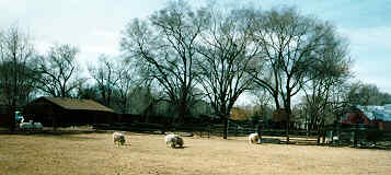 Photo of Rural Scene