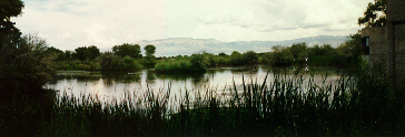 Photo of Discovery Pond